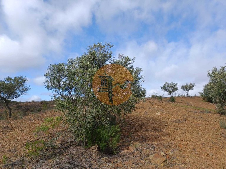 Plot for Sale in Azinhal, Castro Marim, Portugal 12