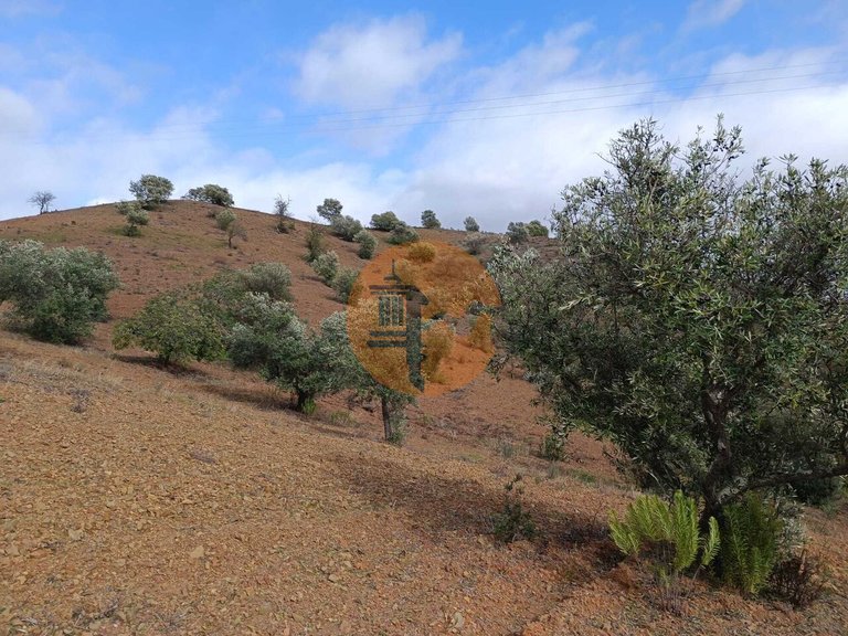Plot for Sale in Azinhal, Castro Marim, Portugal 14