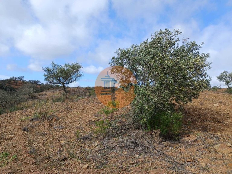 Plot for Sale in Azinhal, Castro Marim, Portugal 17