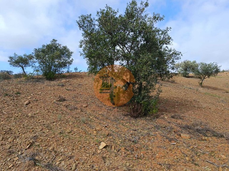 Plot for Sale in Azinhal, Castro Marim, Portugal 20