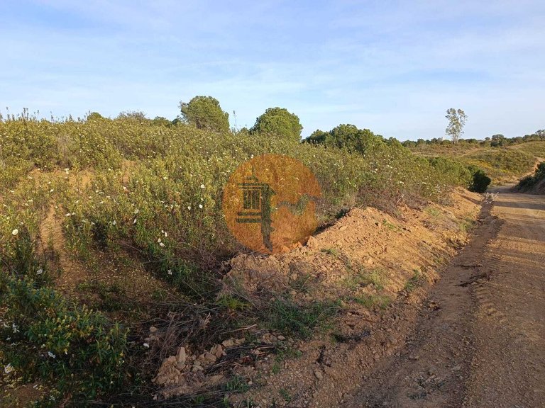 Plot for Sale in Azinhal, Castro Marim, Portugal 7