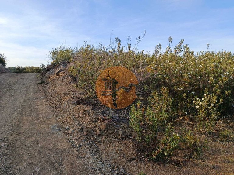 Plot for Sale in Azinhal, Castro Marim, Portugal 8