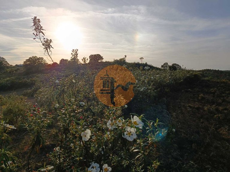 Plot for Sale in Azinhal, Castro Marim, Portugal 12