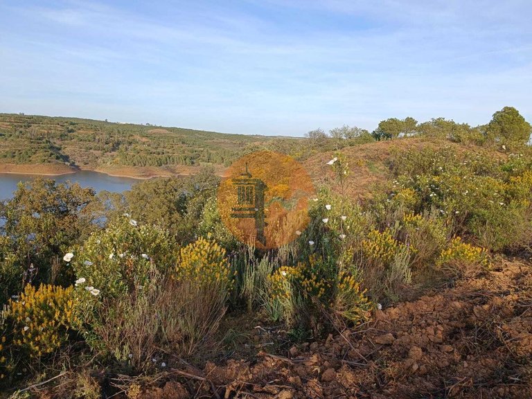 Plot for Sale in Azinhal, Castro Marim, Portugal 15