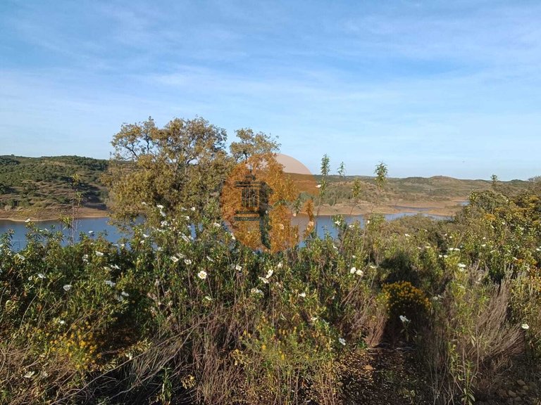 Plot for Sale in Azinhal, Castro Marim, Portugal 23