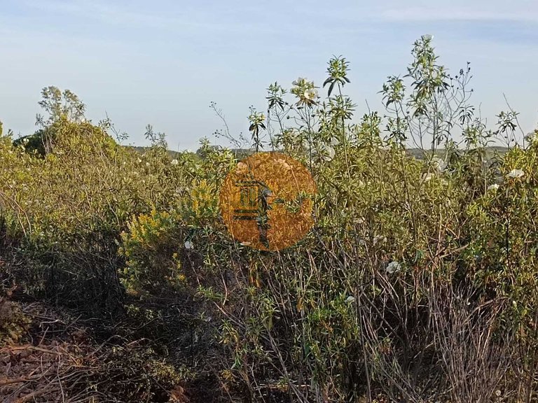Plot for Sale in Azinhal, Castro Marim, Portugal 33