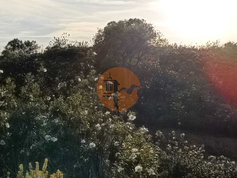 Plot for Sale in Azinhal, Castro Marim, Portugal 37