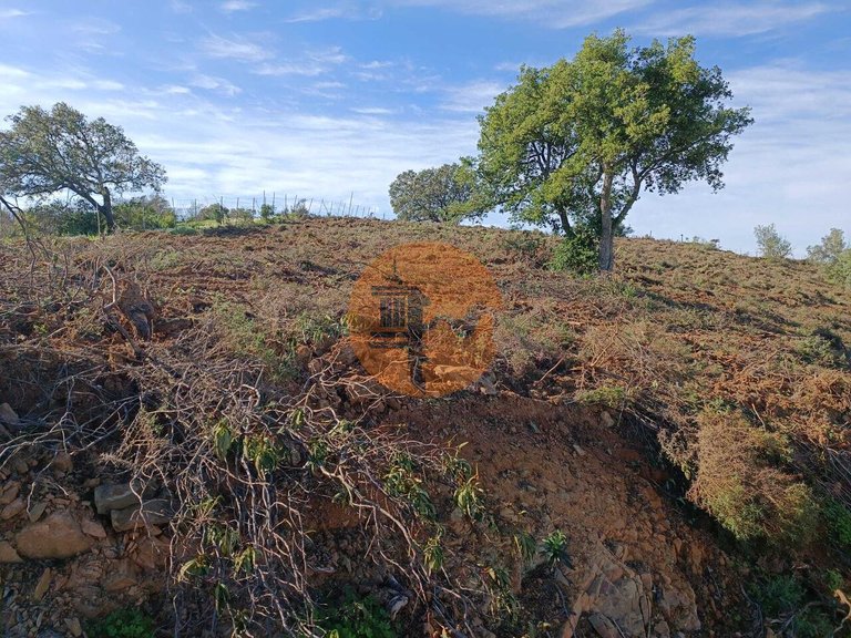 Plot for Sale in Azinhal, Castro Marim, Portugal 4