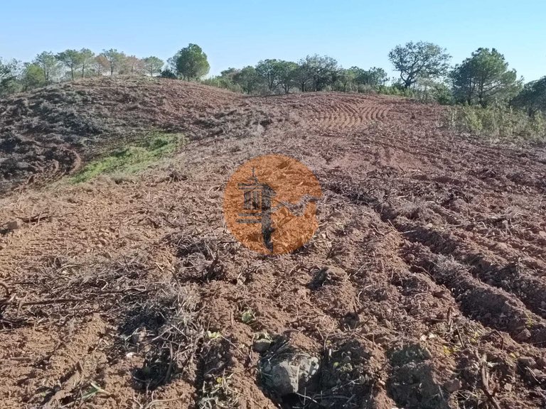 Plot for Sale in Azinhal, Castro Marim, Portugal 16