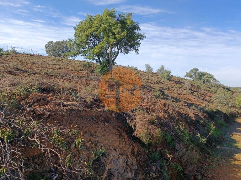Plot for Sale in Azinhal, Castro Marim, Portugal 29