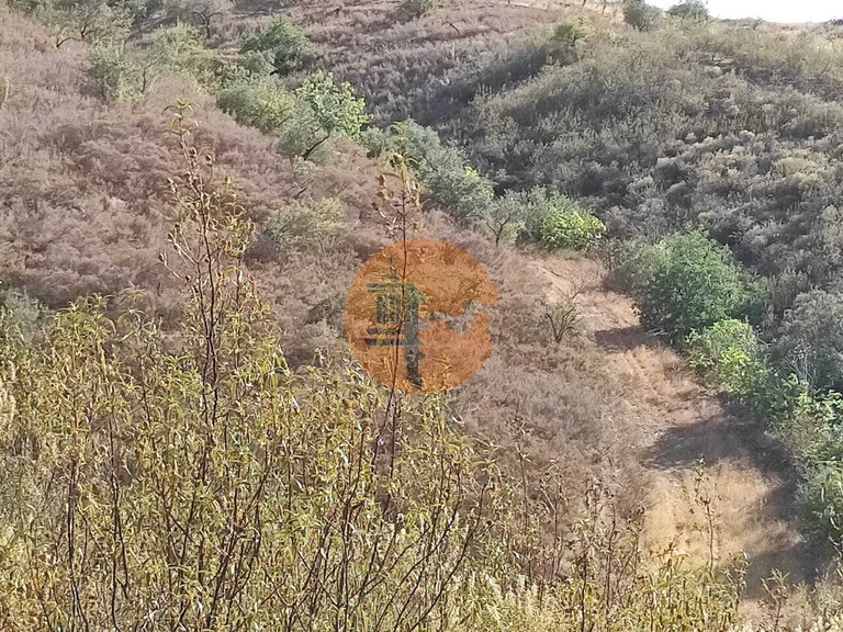 Plot for Sale in Odeleite, Castro Marim, Portugal 7