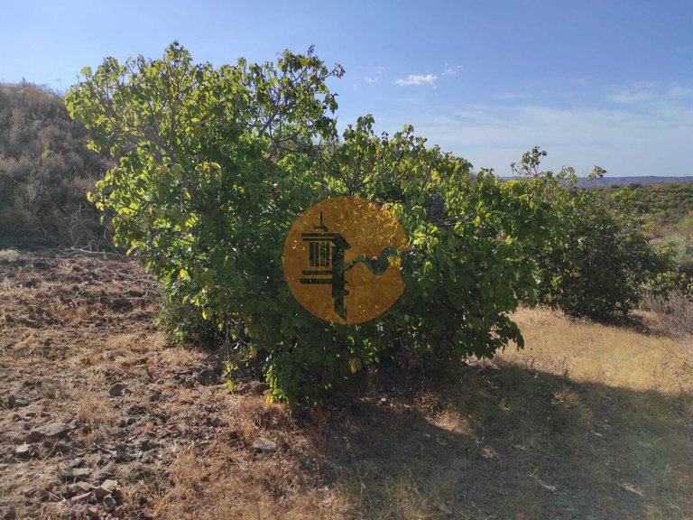 Plot for Sale in Odeleite, Castro Marim, Portugal 1