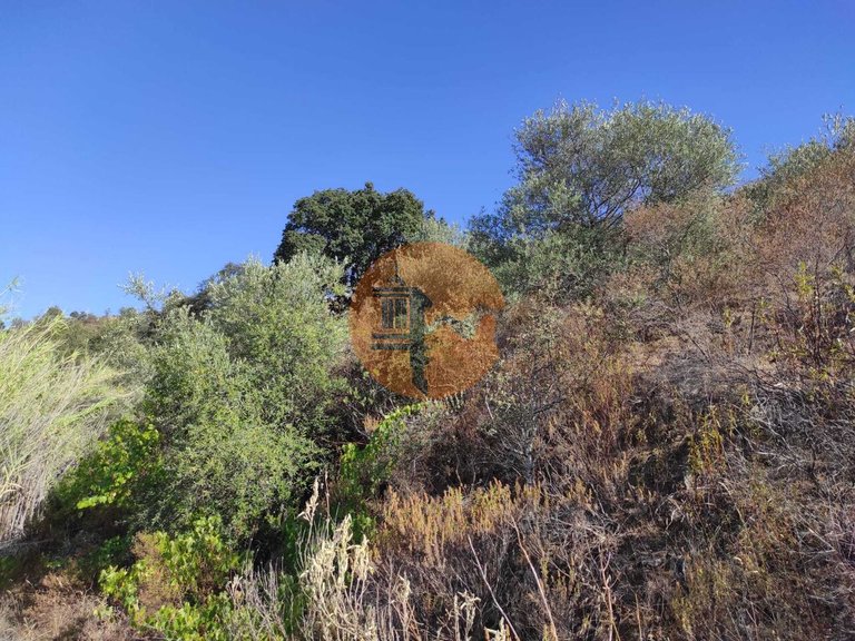 Plot for Sale in Odeleite, Castro Marim, Portugal 22