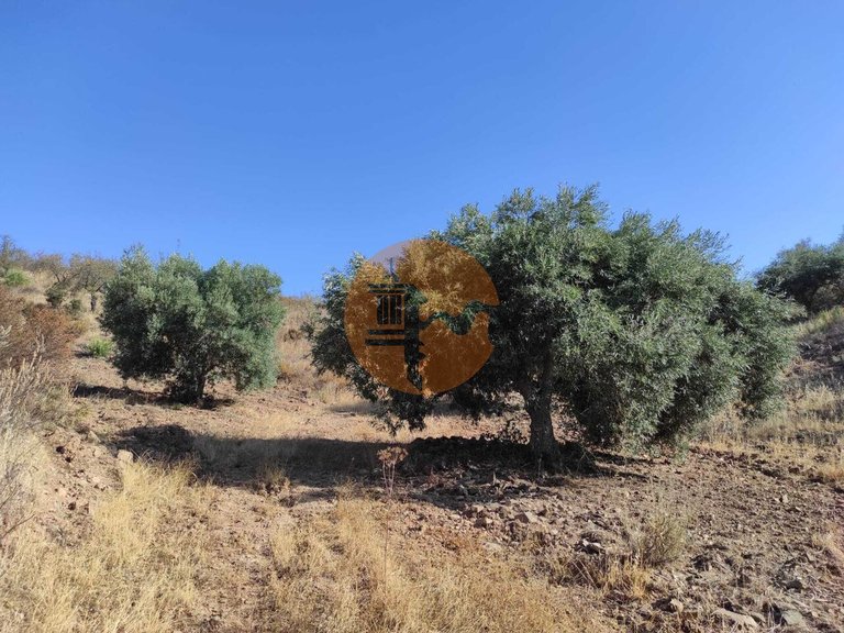 Plot for Sale in Odeleite, Castro Marim, Portugal 34