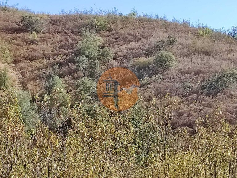 Plot for Sale in Odeleite, Castro Marim, Portugal 38