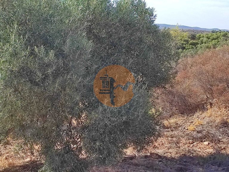 Plot for Sale in Odeleite, Castro Marim, Portugal 40