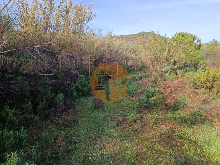 Plot for Sale in Castro Marim, Castro Marim, Portugal 8