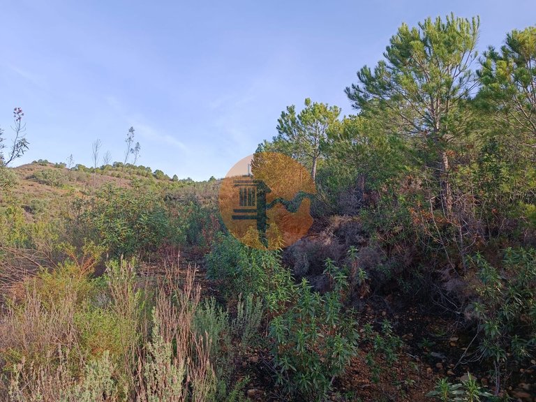 Plot for Sale in Castro Marim, Castro Marim, Portugal 10