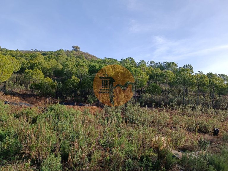 Plot for Sale in Castro Marim, Castro Marim, Portugal 18