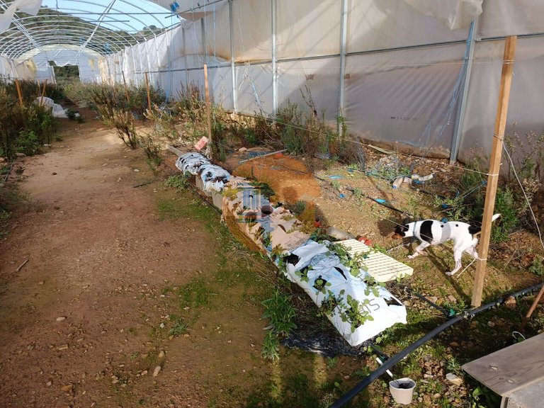Plot for Sale in Castro Marim, Castro Marim, Portugal 24