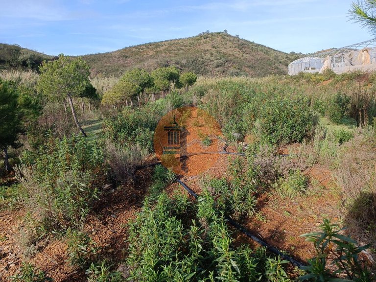 Plot for Sale in Castro Marim, Castro Marim, Portugal 31