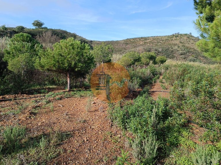 Plot for Sale in Castro Marim, Castro Marim, Portugal 35