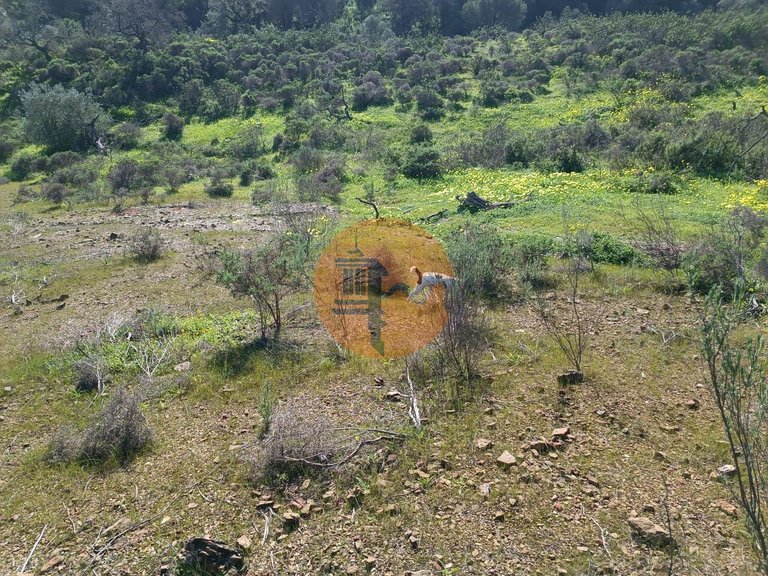 Plot for Sale in Azinhal, Castro Marim, Portugal 6