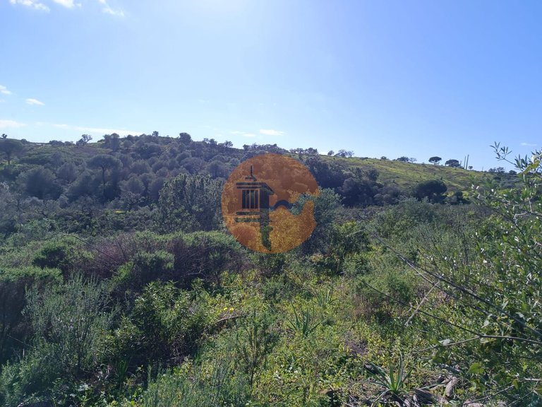 Plot for Sale in Azinhal, Castro Marim, Portugal 10