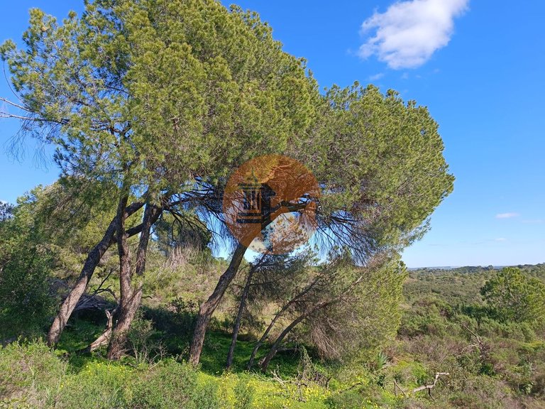 Plot for Sale in Azinhal, Castro Marim, Portugal 11