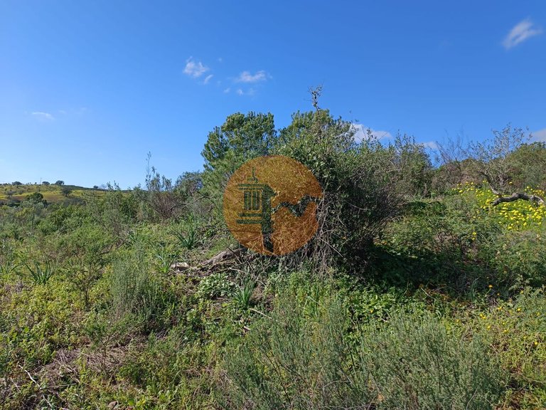 Plot for Sale in Azinhal, Castro Marim, Portugal 12