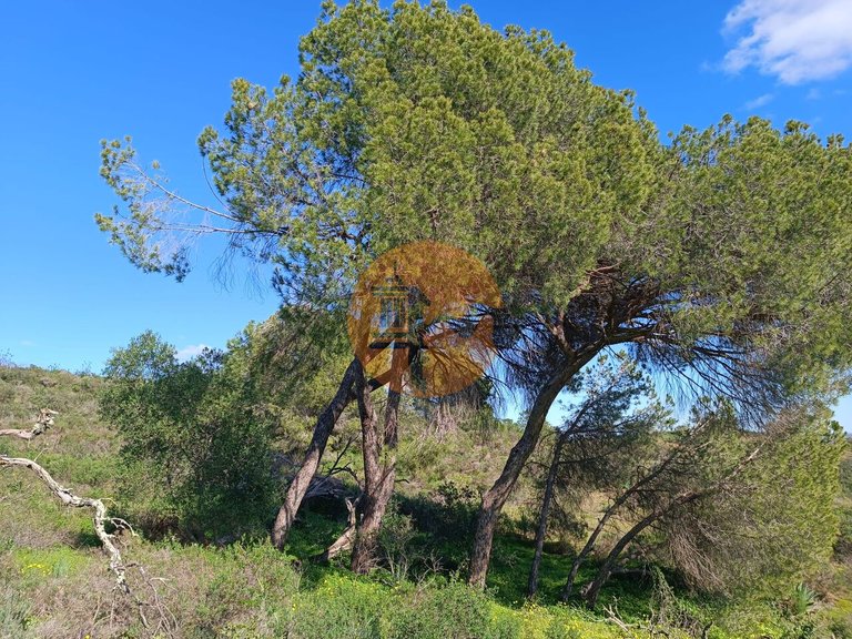 Plot for Sale in Azinhal, Castro Marim, Portugal 1