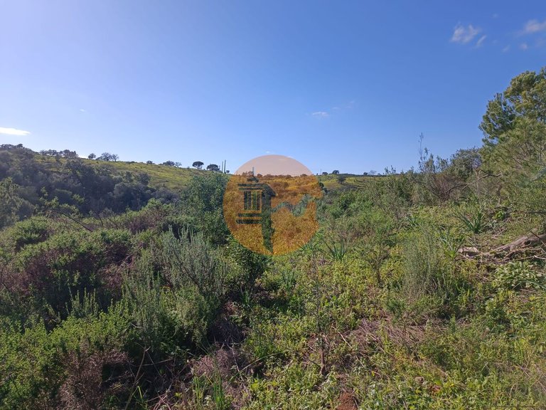 Plot for Sale in Azinhal, Castro Marim, Portugal 13