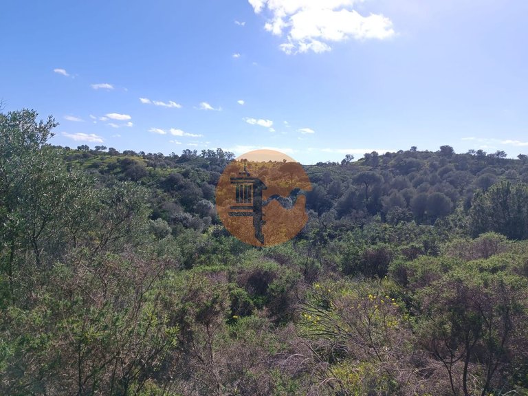 Plot for Sale in Azinhal, Castro Marim, Portugal 14