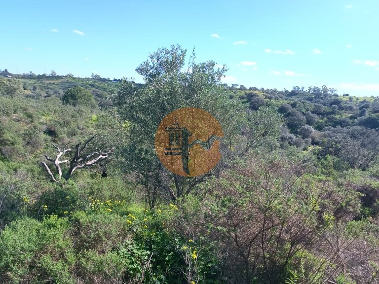 Plot for Sale in Azinhal, Castro Marim, Portugal 15