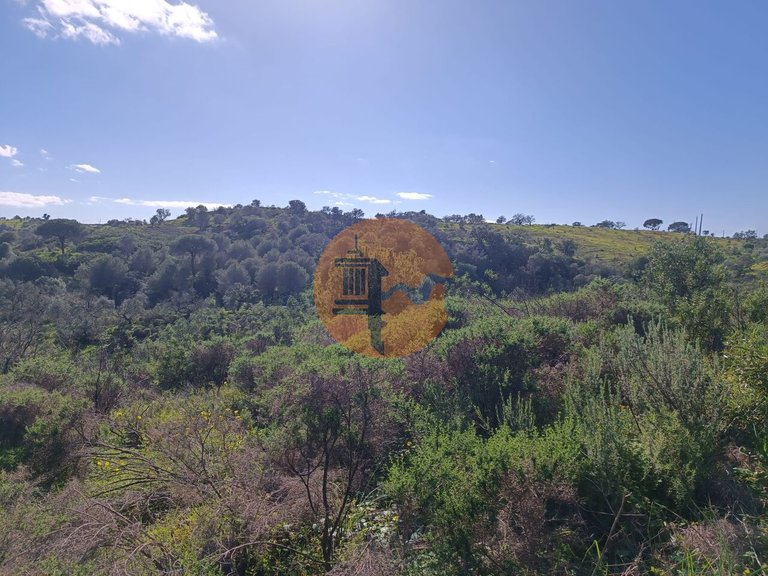 Plot for Sale in Azinhal, Castro Marim, Portugal 16