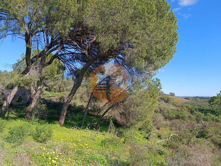 Plot for Sale in Azinhal, Castro Marim, Portugal 17