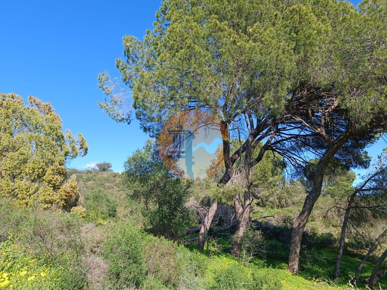 Plot for Sale in Azinhal, Castro Marim, Portugal 21