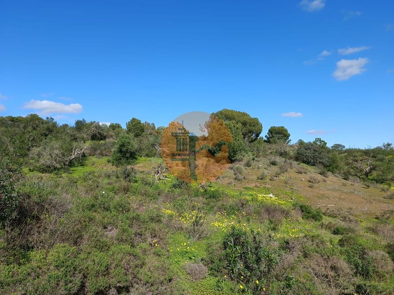 Plot for Sale in Azinhal, Castro Marim, Portugal 23