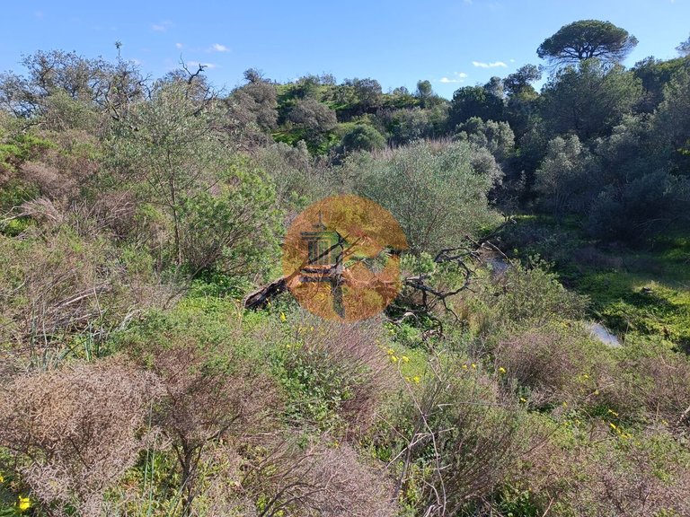 Plot for Sale in Azinhal, Castro Marim, Portugal 24