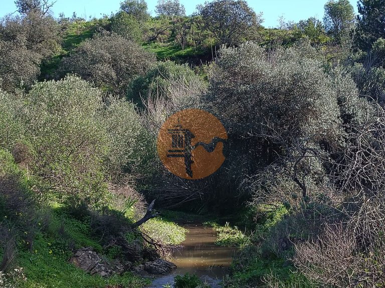 Plot for Sale in Azinhal, Castro Marim, Portugal 26