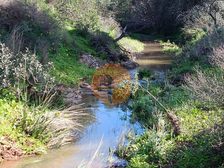 Plot for Sale in Azinhal, Castro Marim, Portugal 5