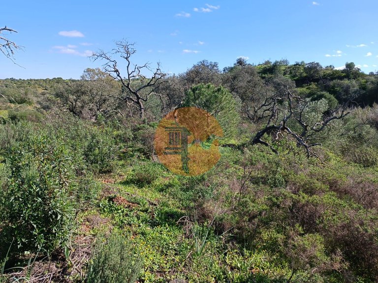 Plot for Sale in Azinhal, Castro Marim, Portugal 27