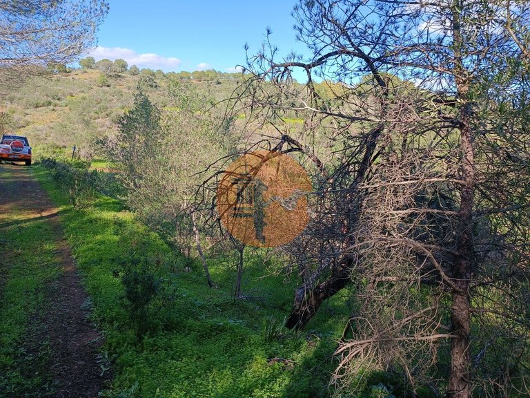 Plot for Sale in Azinhal, Castro Marim, Portugal 29