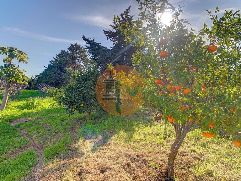Villa for Sale in Vila Nova De Cacela, Vila Real De Santo António, Portugal 46