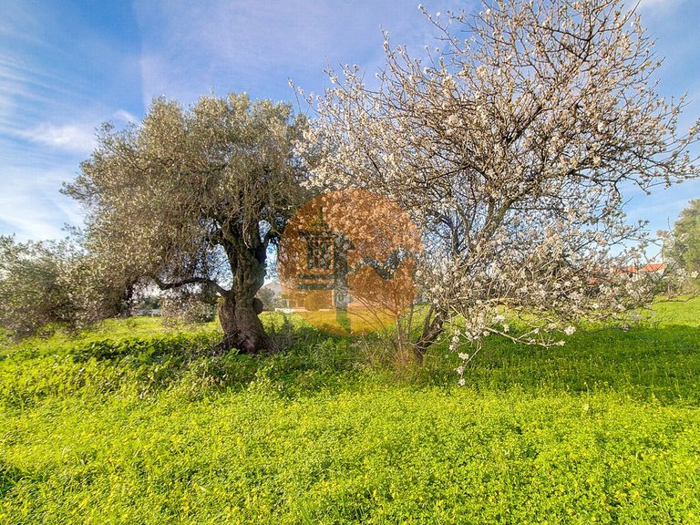 Villa for Sale in Vila Nova De Cacela, Vila Real De Santo António, Portugal 48