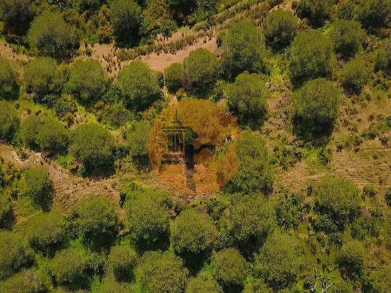 Plot for Sale in Castro Marim, Castro Marim, Portugal 21