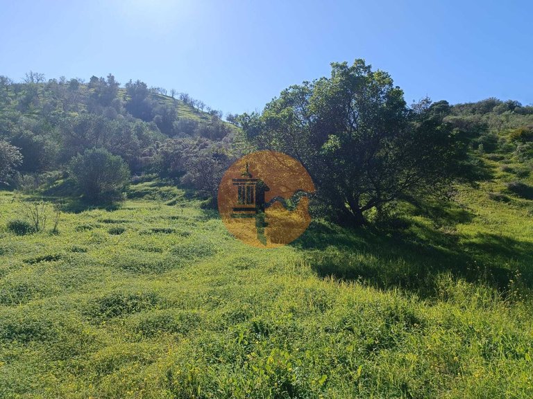 Plot for Sale in Castro Marim, Castro Marim, Portugal 4
