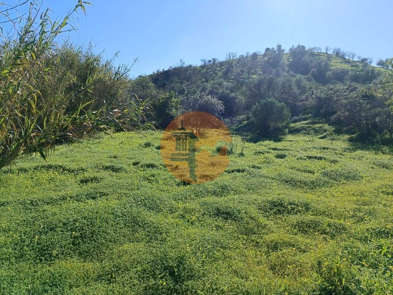 Plot for Sale in Castro Marim, Castro Marim, Portugal 10