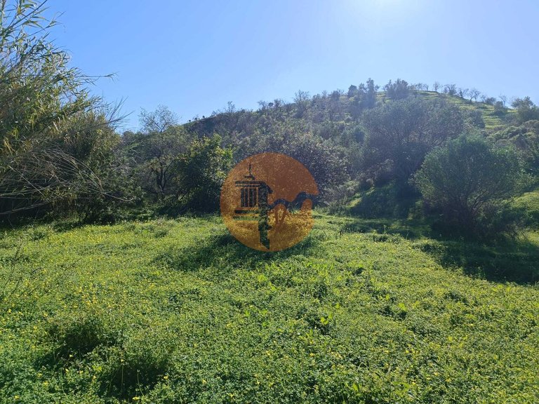 Plot for Sale in Castro Marim, Castro Marim, Portugal 15