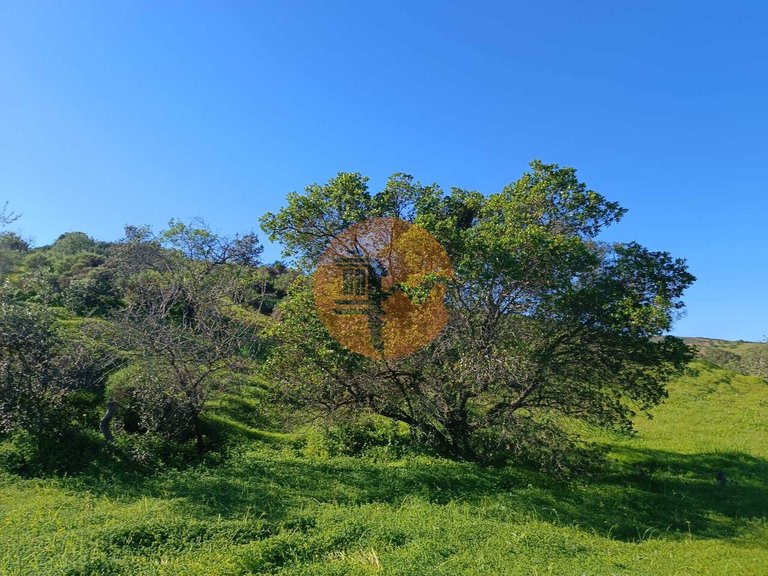Plot for Sale in Castro Marim, Castro Marim, Portugal 17
